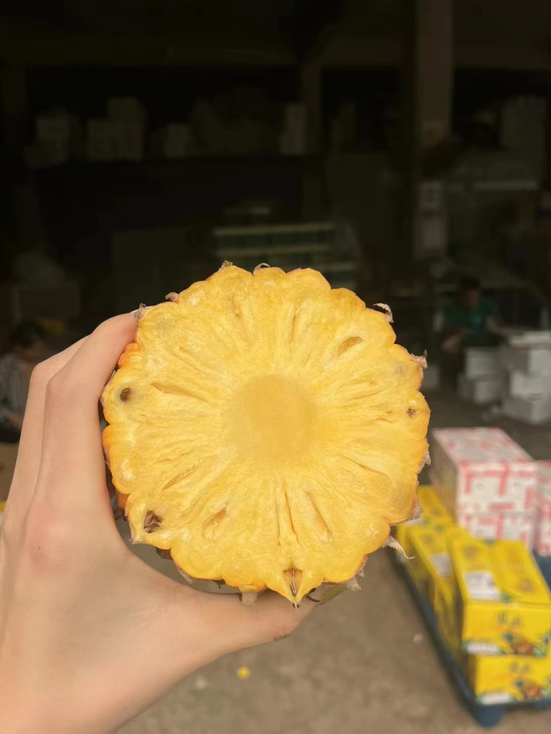 【包邮】海南手撕凤梨8斤